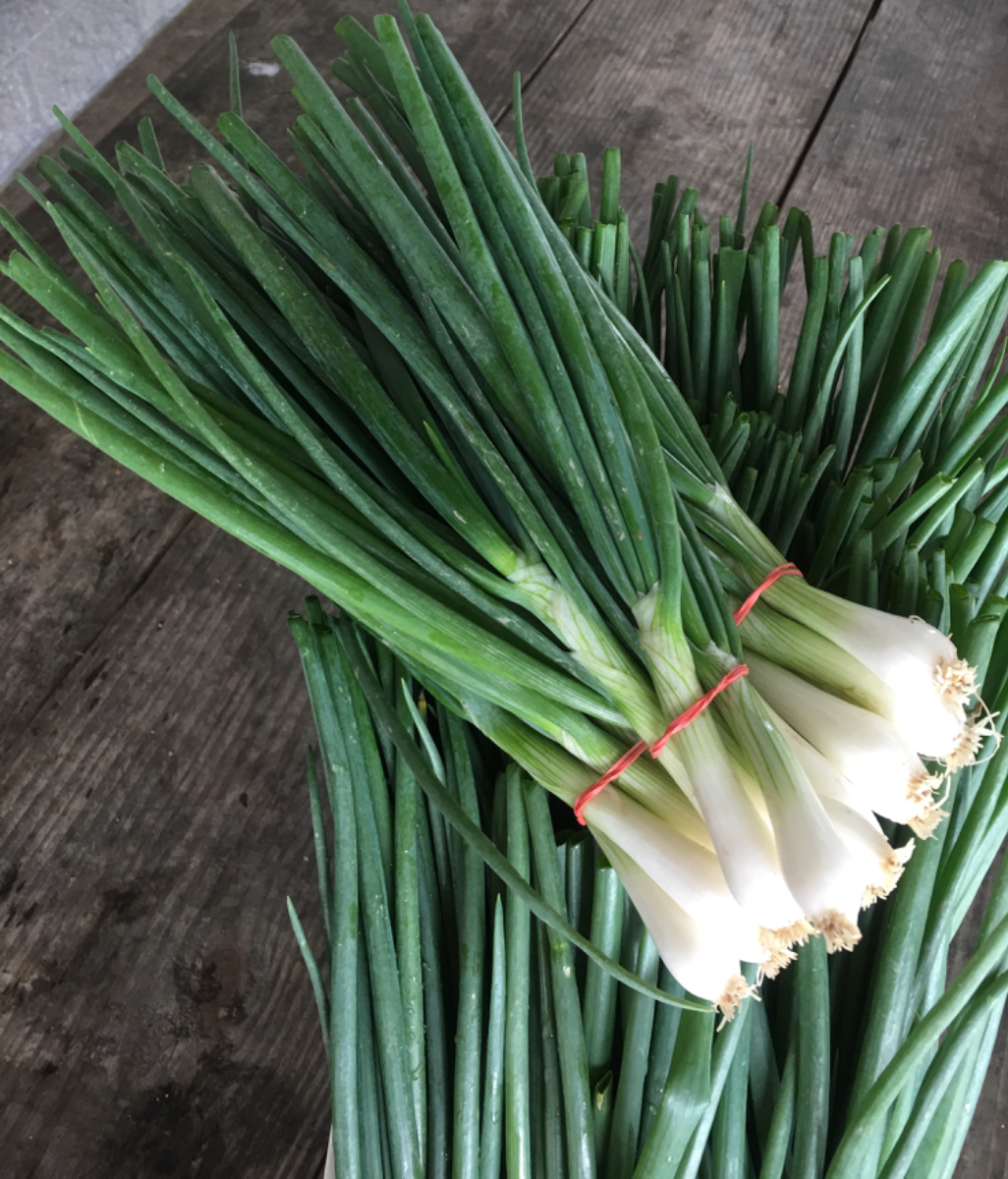 spring-onions-market-wagon-online-farmers-markets-local-food-delivery