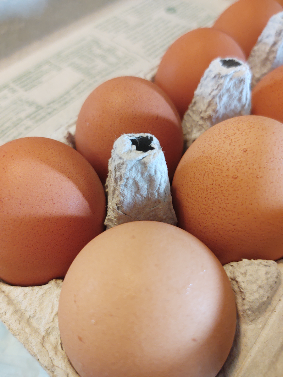 One Dozen Brown Chicken Eggs Non Gmo Market Wagon Online Farmers Markets And Local Food Delivery
