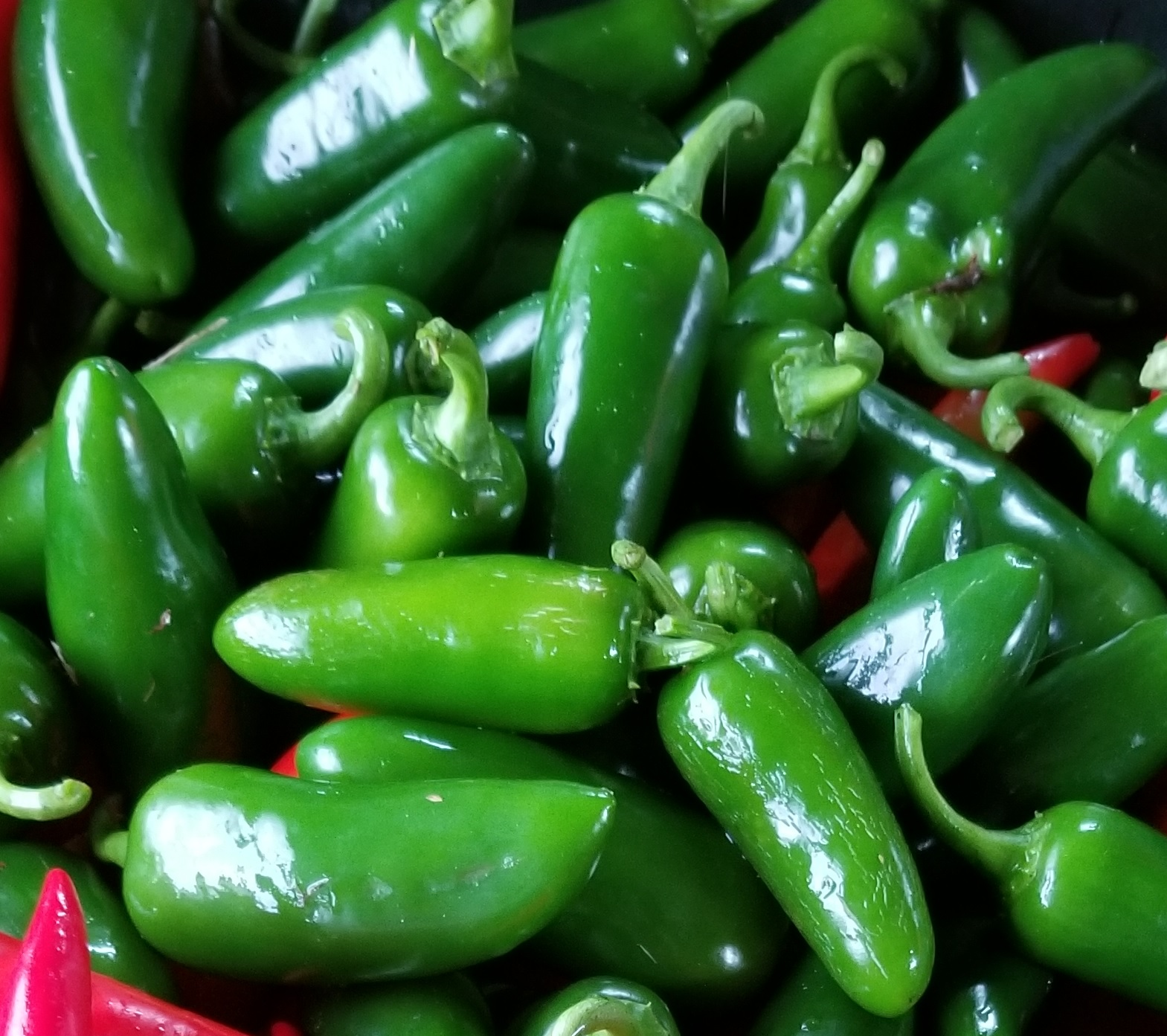 Peppers Jalapeño Market Wagon Online Farmers Markets & Local Food