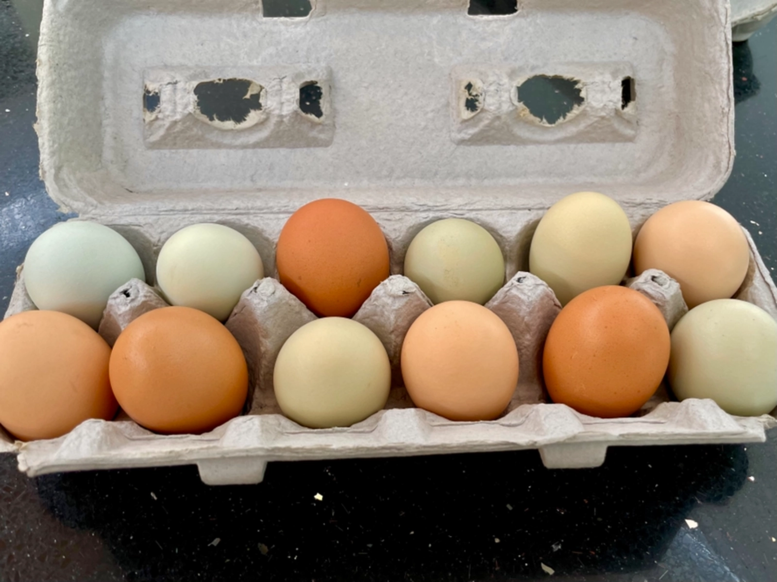 organic-free-range-natural-eggs