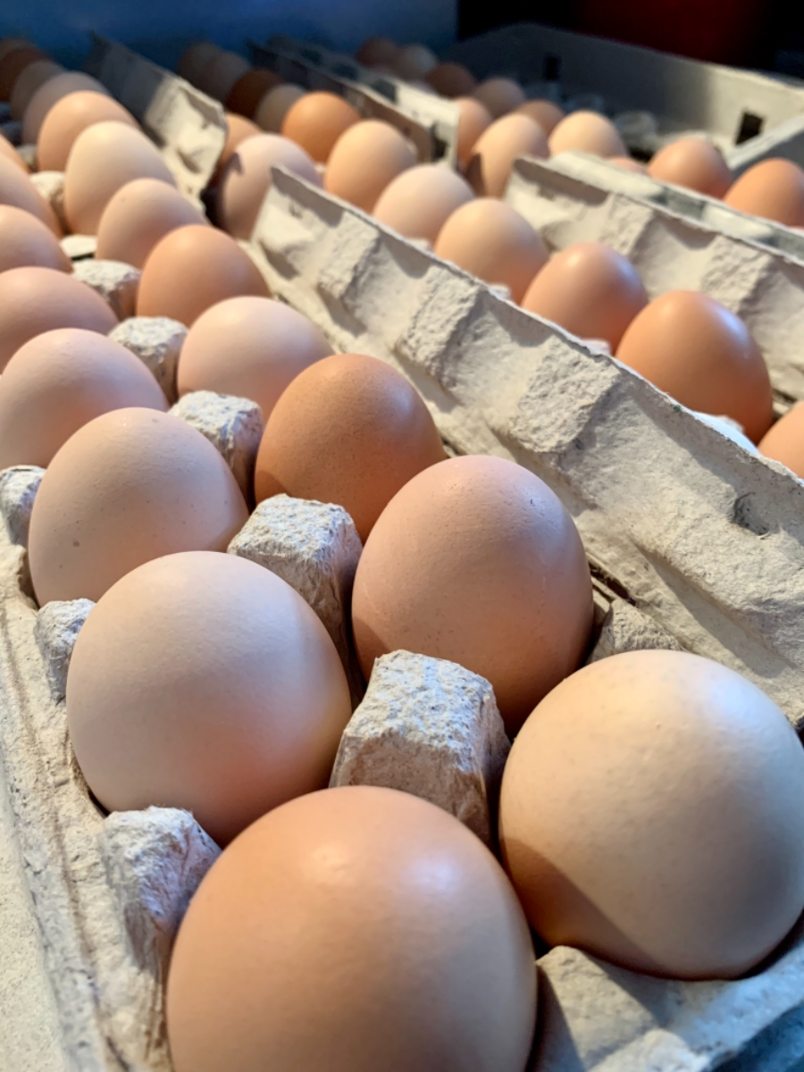 eggs-1-dozen-