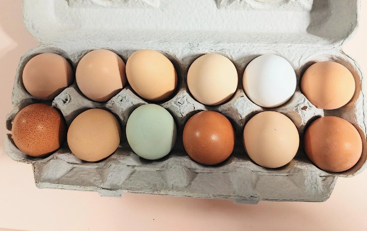 multicolor-chicken-eggs-pastureraised-1-dozen