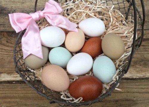 farm-fresh-multi-colored-eggs-