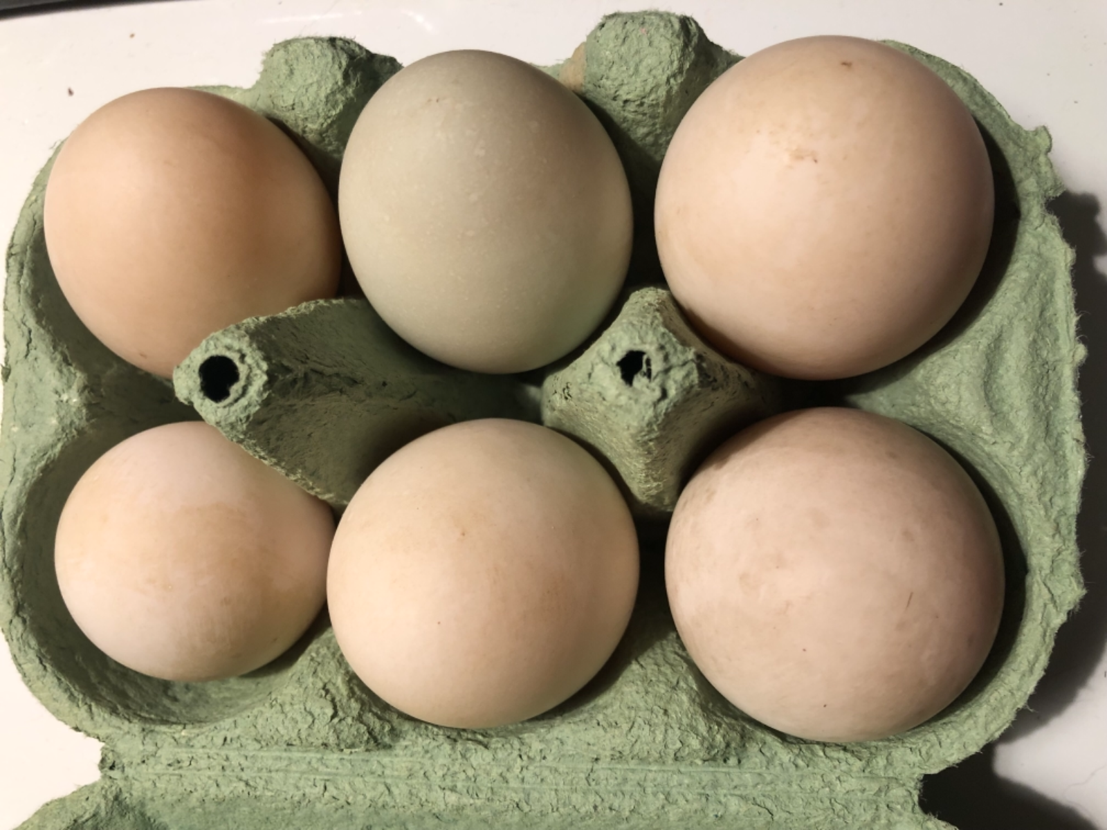 half-dozen-pastured-duck-eggs