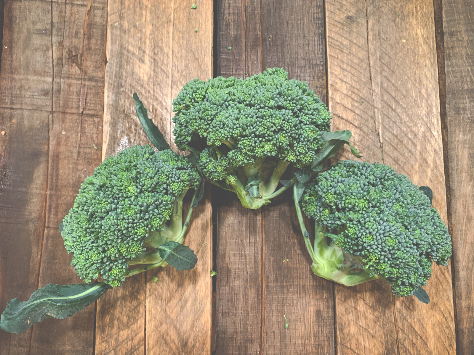 broccoli-1-pound