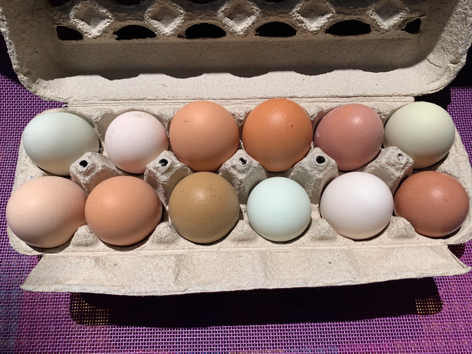 chicken-eggs-1-dozen-fresh