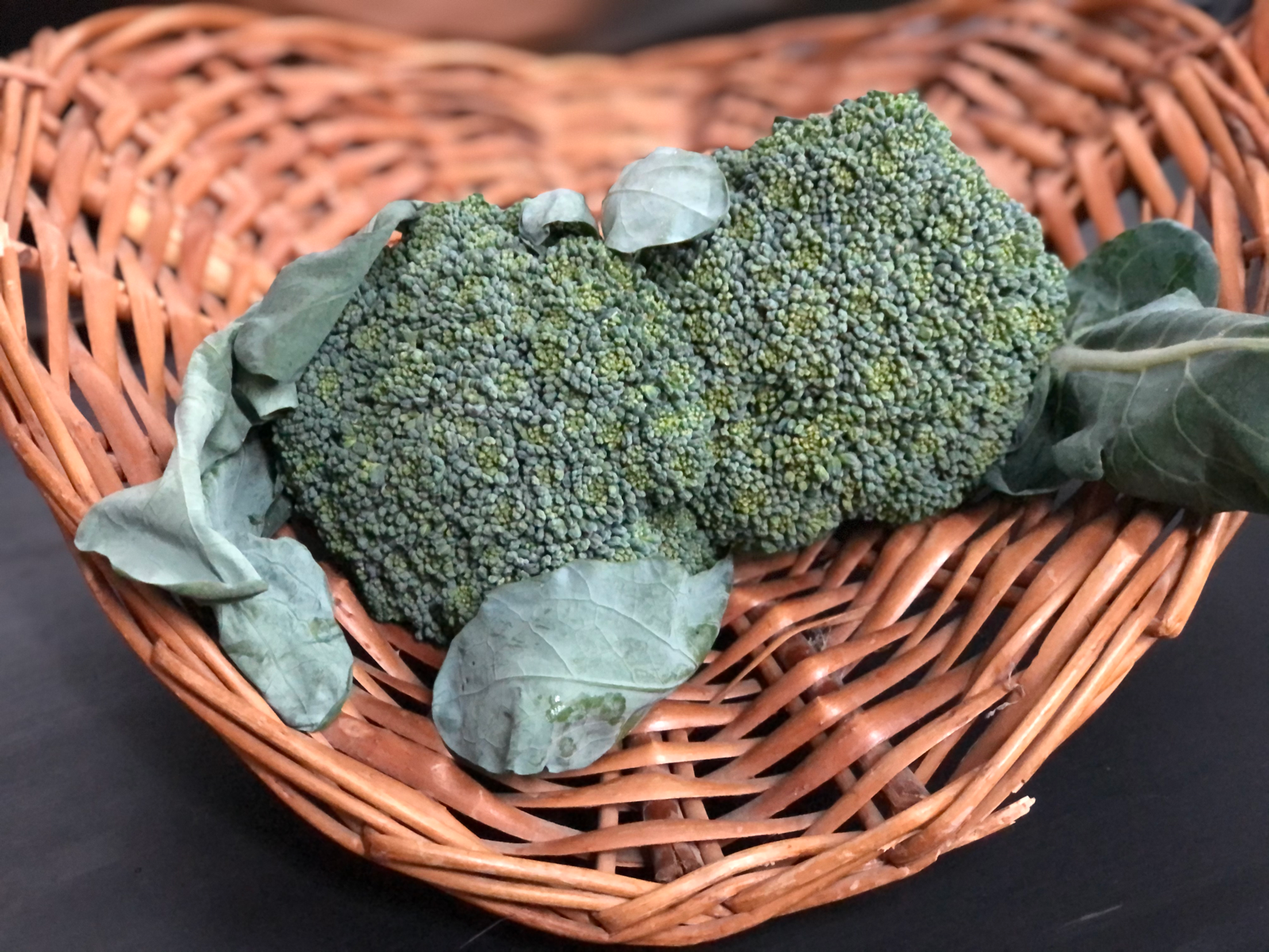 broccoli--8