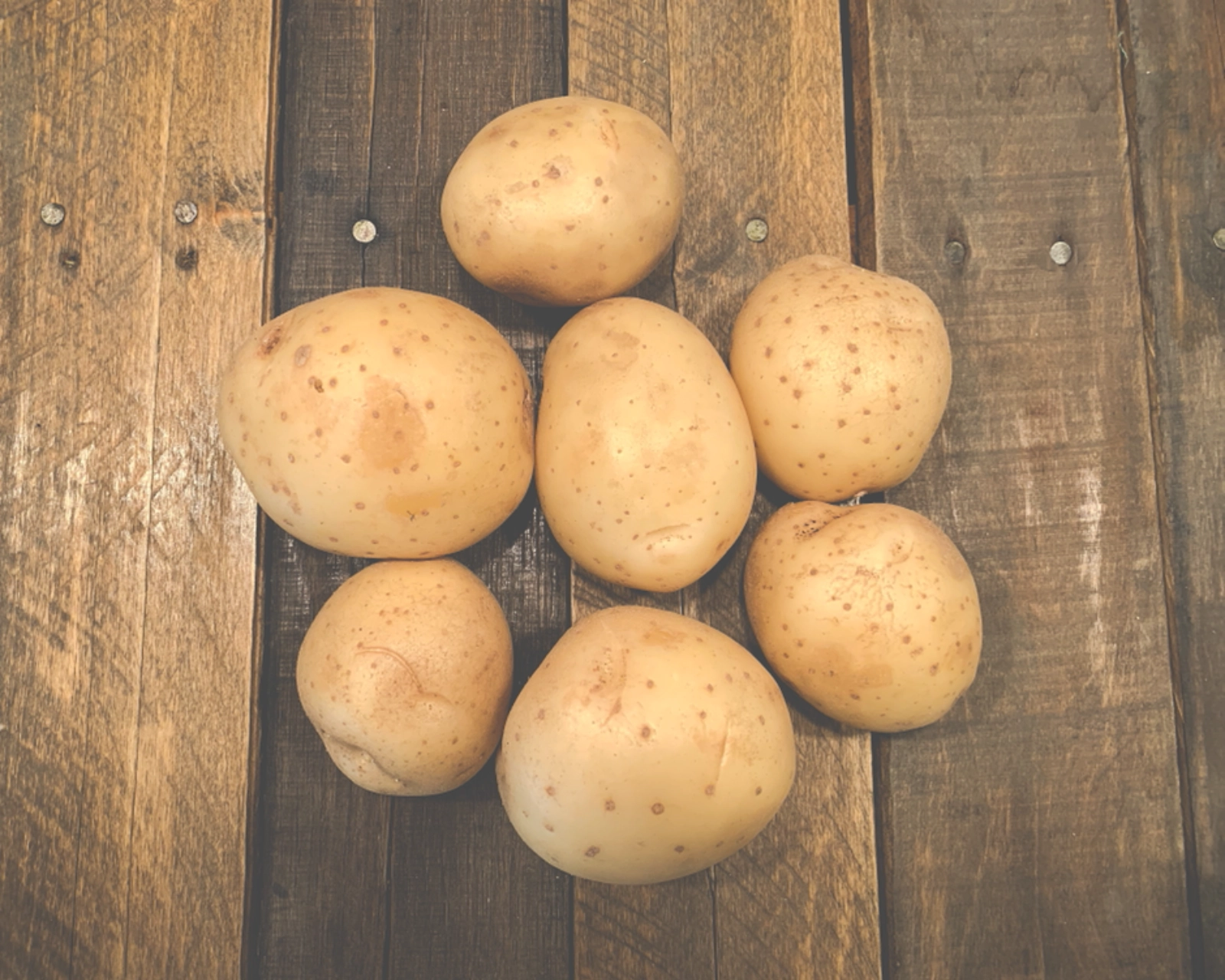 kennebec-potatoes-1-quart