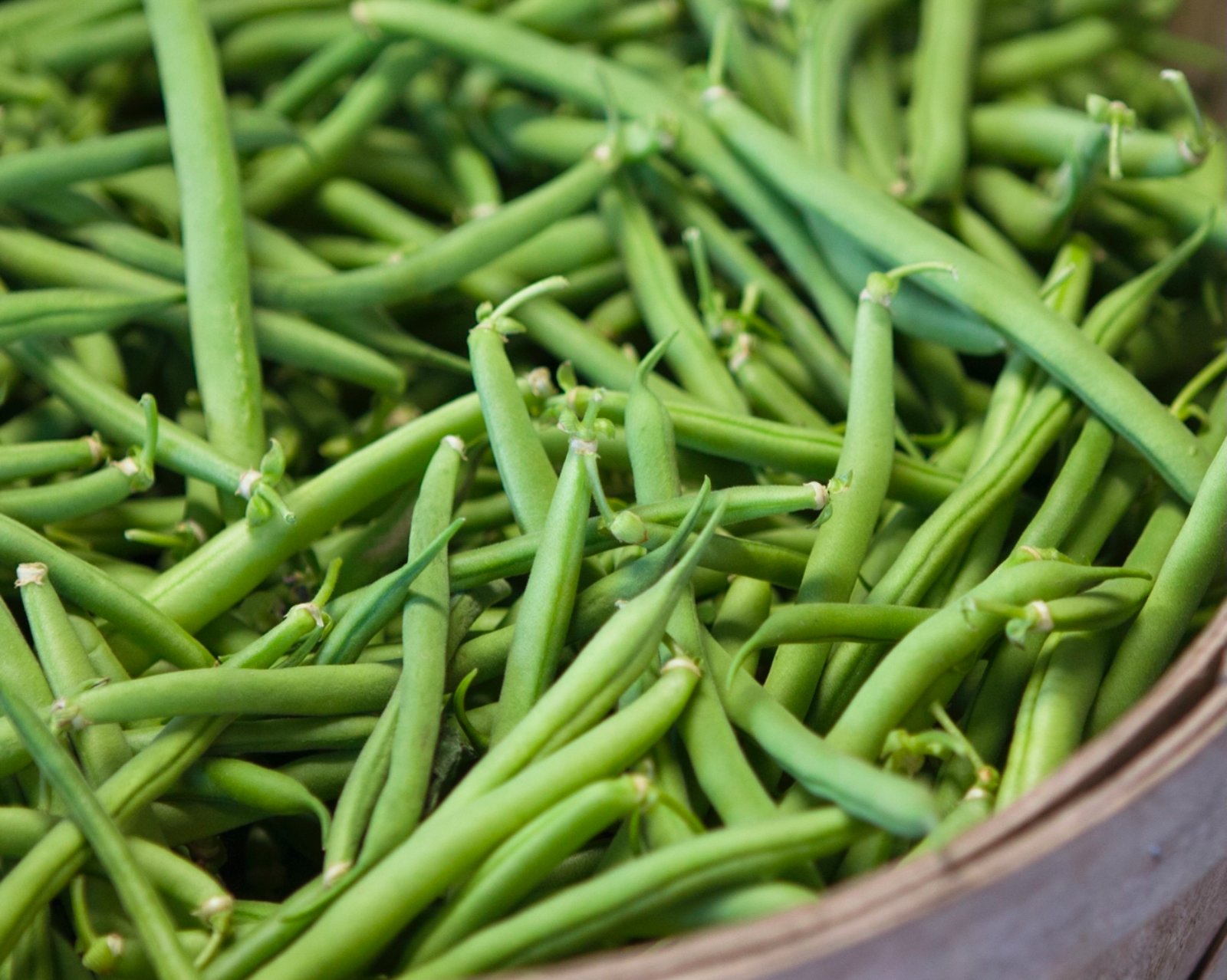 green-beans--4