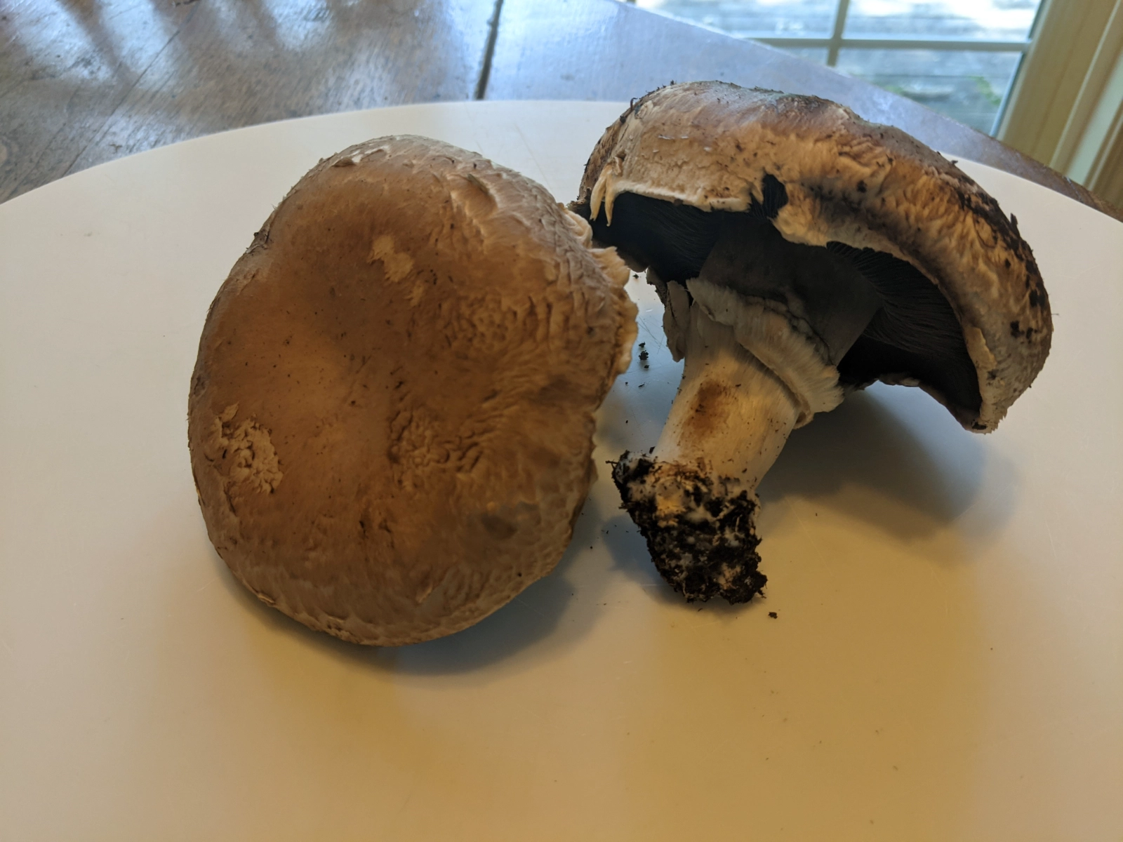 whole-portabella-mushrooms