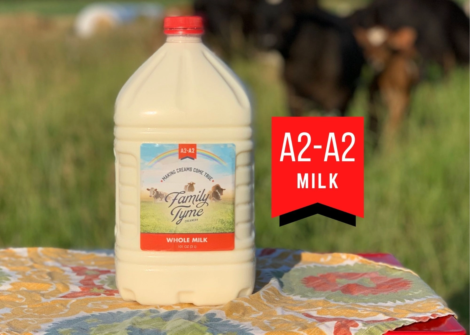 whole-cows-milk-3-liter-cream-line-a2a2-best-value-