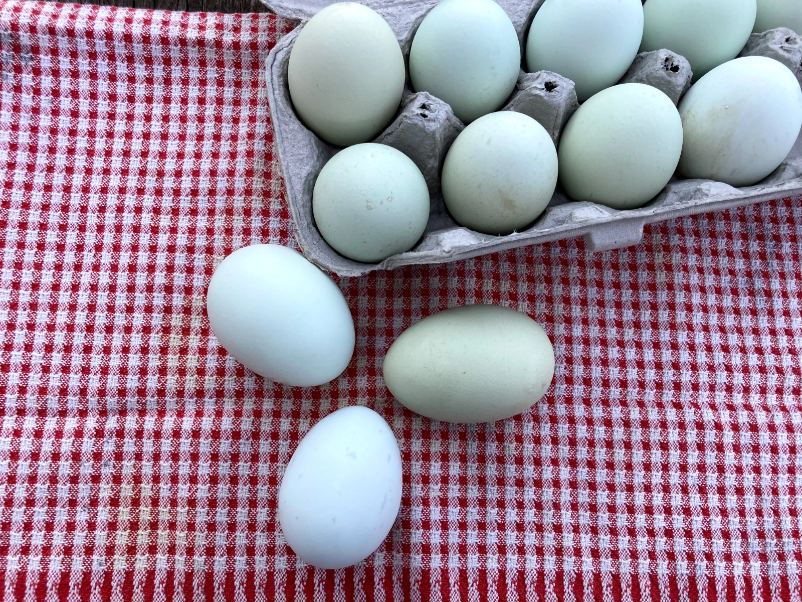soy-free-gmo-free-pasture-raised-multicolored-eggs-from-heritage-breed-chickens