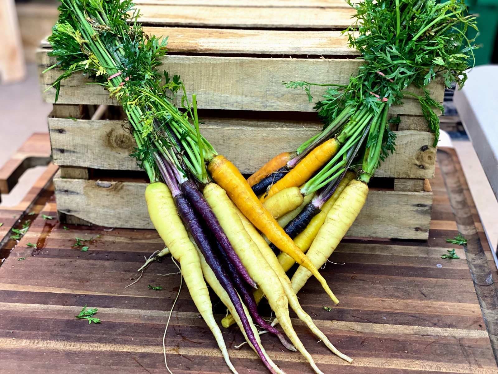 rainbow-carrot-bunch