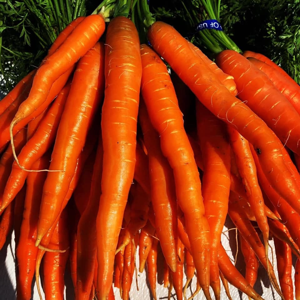 carrots-60