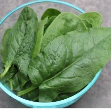 spinach-cert-organic