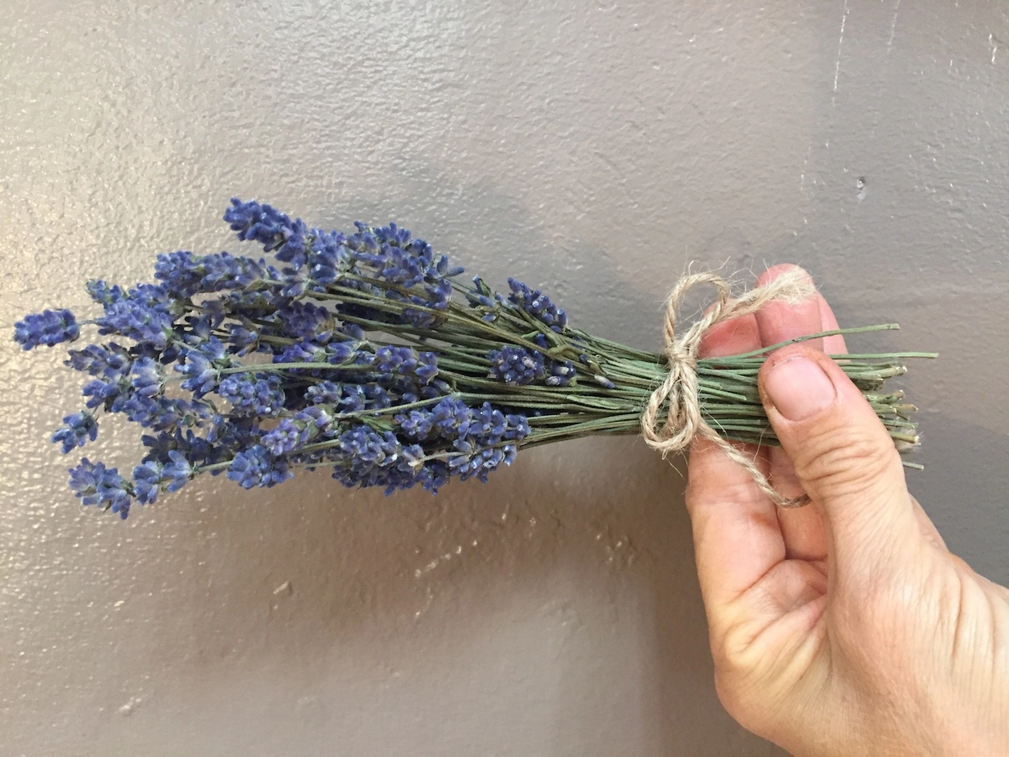 dried-lavender-leaves-removed-certified-organic