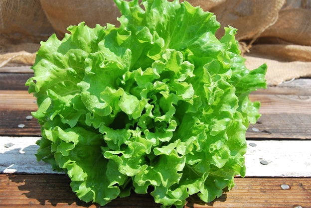 lettuce-heads-4-or-5-approx-16-oz