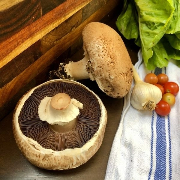 portobello-mushrooms-2-large-caps