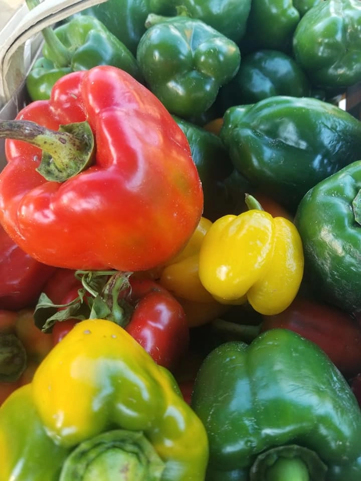mixed-bell-pepper-red-green-or-yellow