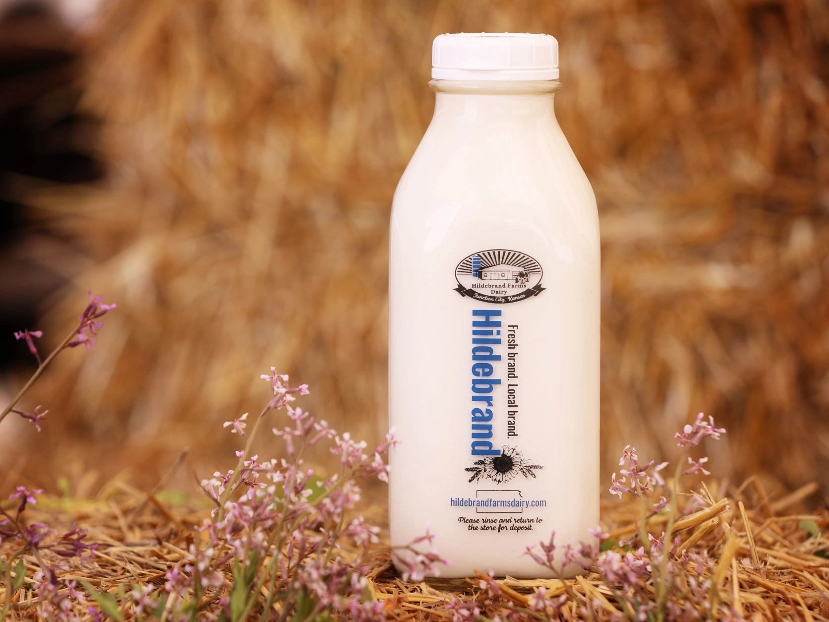 cream-hildebrand-farms-dairy