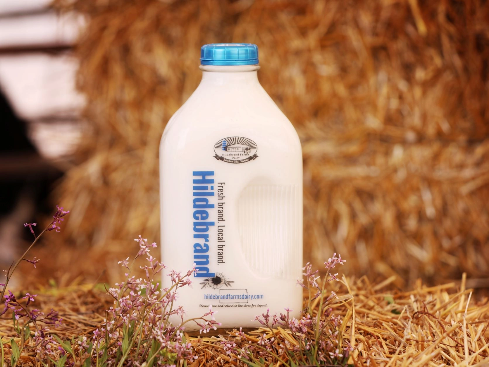 creamline-milk-hildebrand-farms-dairy