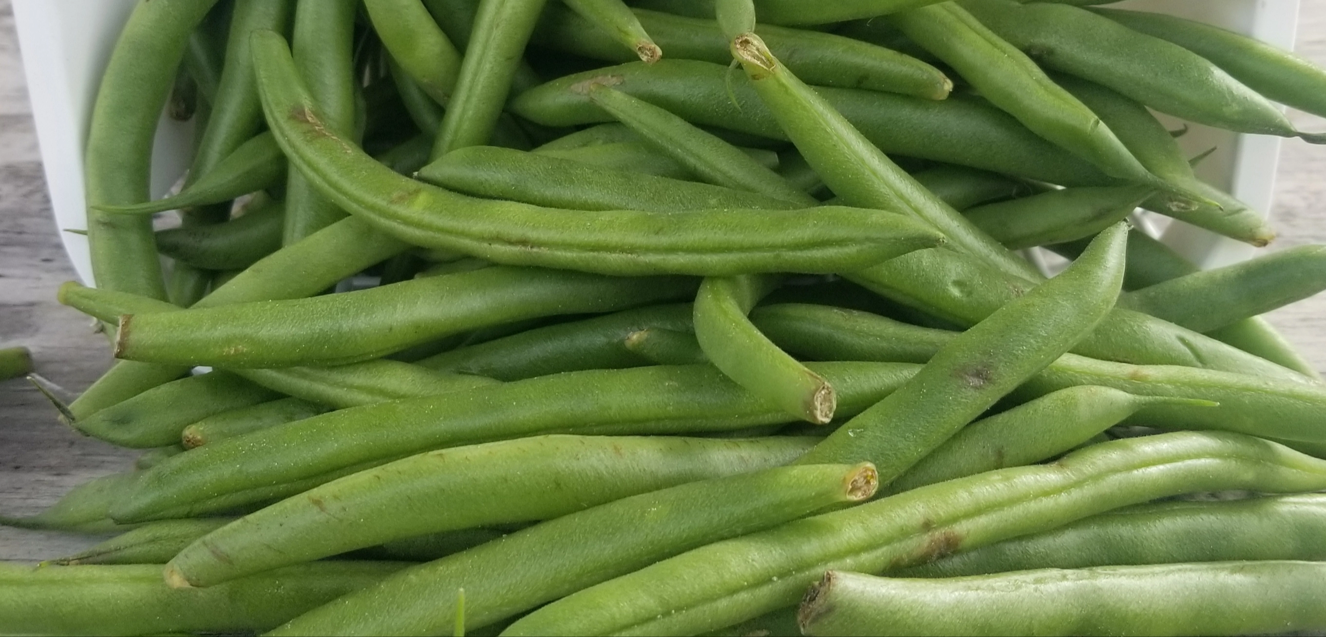 pole-green-beans