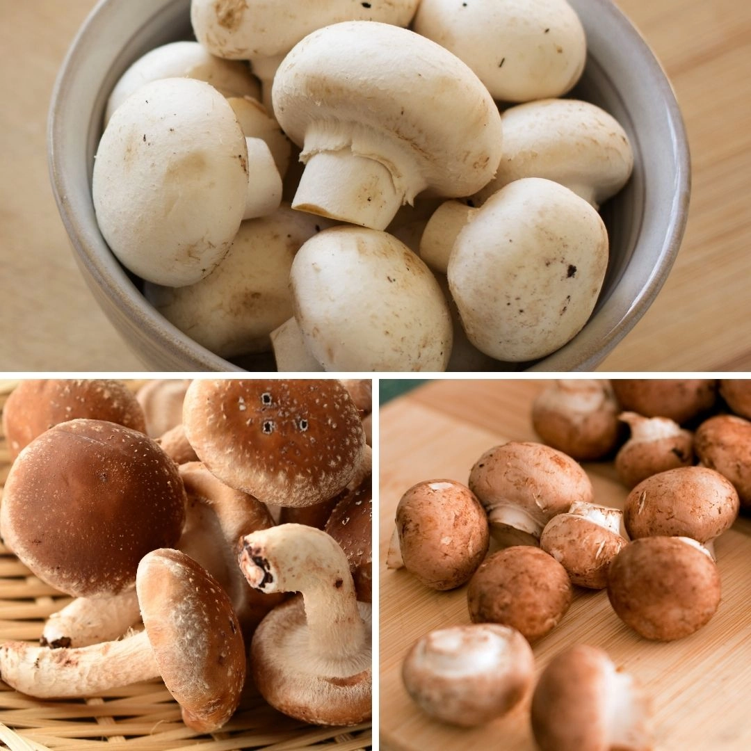 classic-mushroom-mix-mix-of-white-button-crimini-and-shiitake-mushrooms-1-pint-