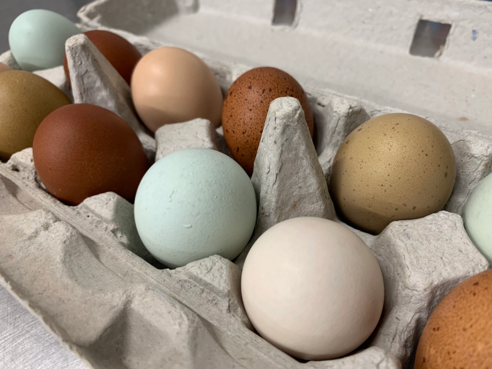 eggs-pastureraised-1-small-pullet-size-dozen