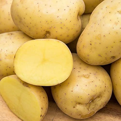 5-lb-yukon-yellow-potato