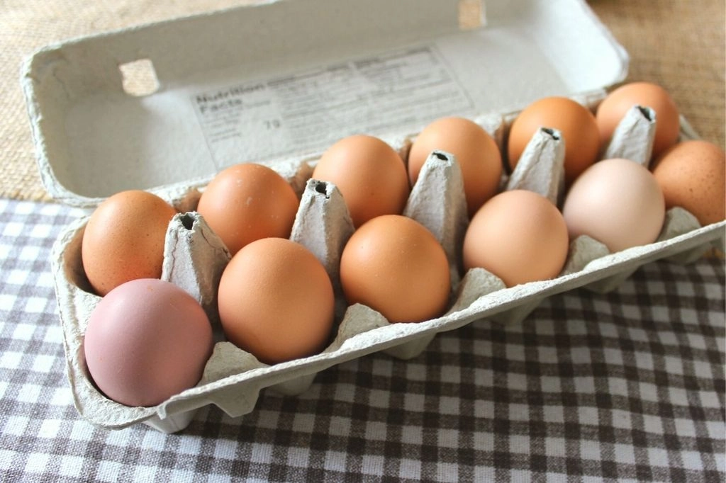 1-dozen-eggs-pastureraised-fed-organic-grain