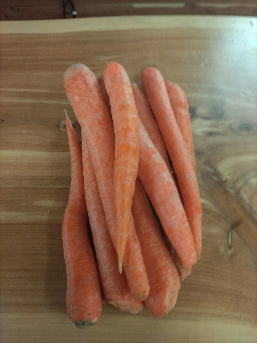 orange-carrots-