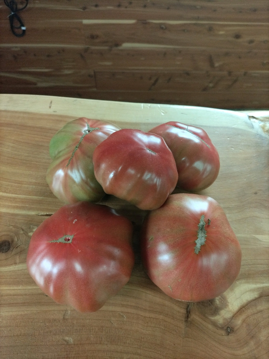 heirloom-cherokee-purple-tomatoes-