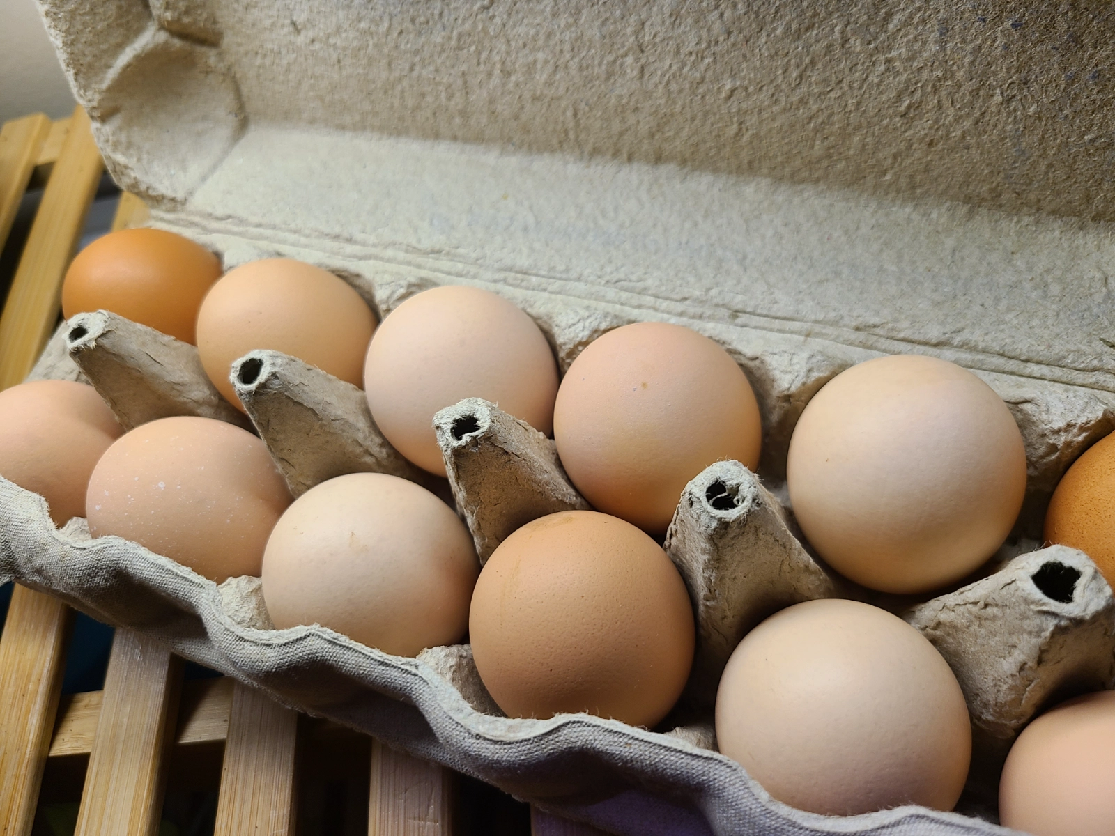 medium-chicken-eggs-1-dozen