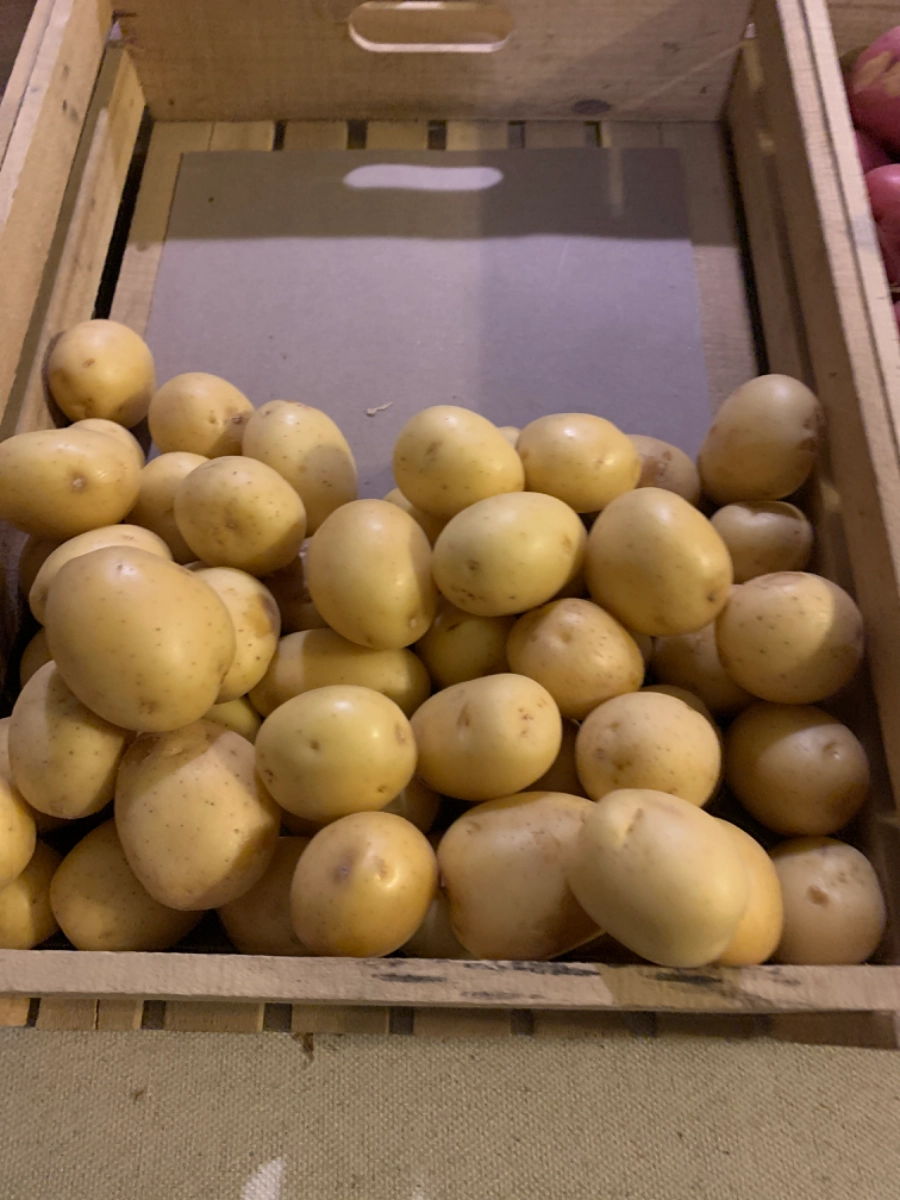 yellow-potatoes--3