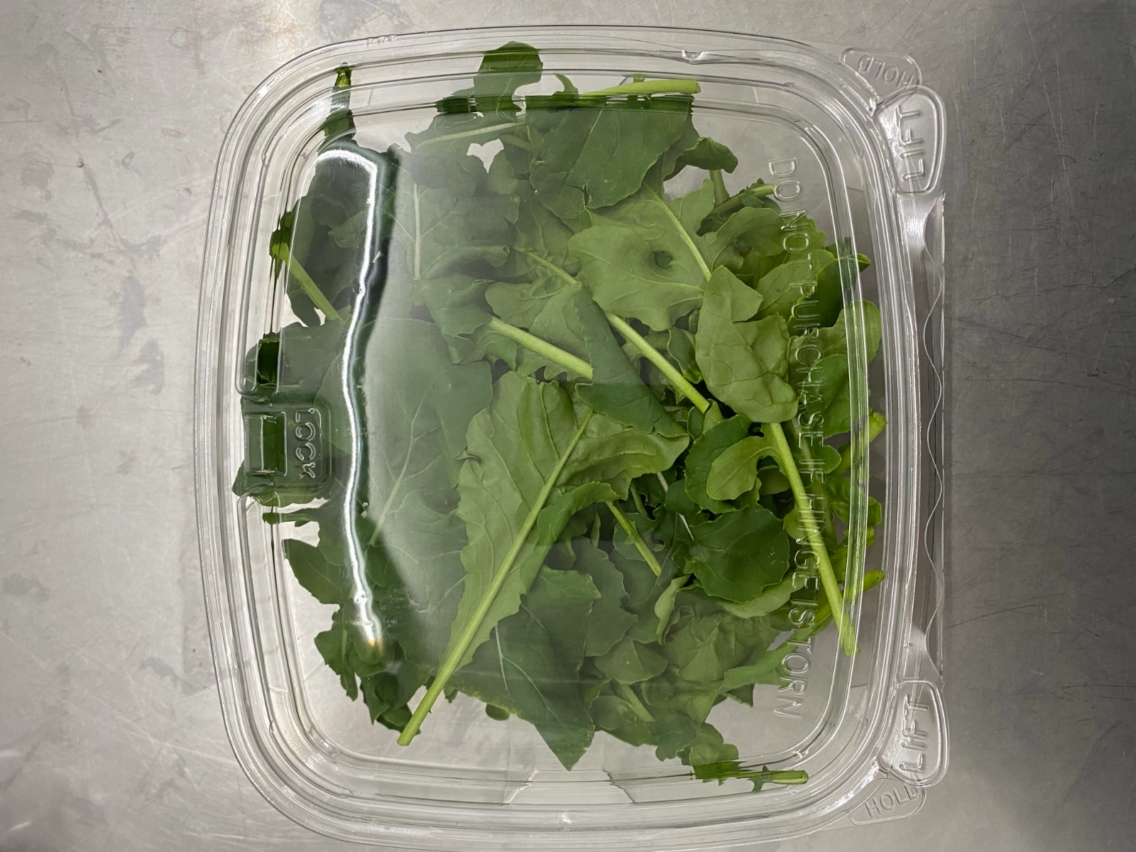arugula-kale-fresh-salad-blend