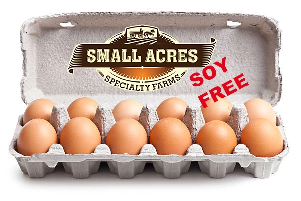 1-dozen-soy-free-brown-eggs-free-range-non-gmo