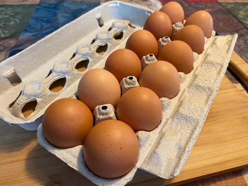 xlarge-brown-eggs-pasture-raised-1-dozen-fresh-eggs