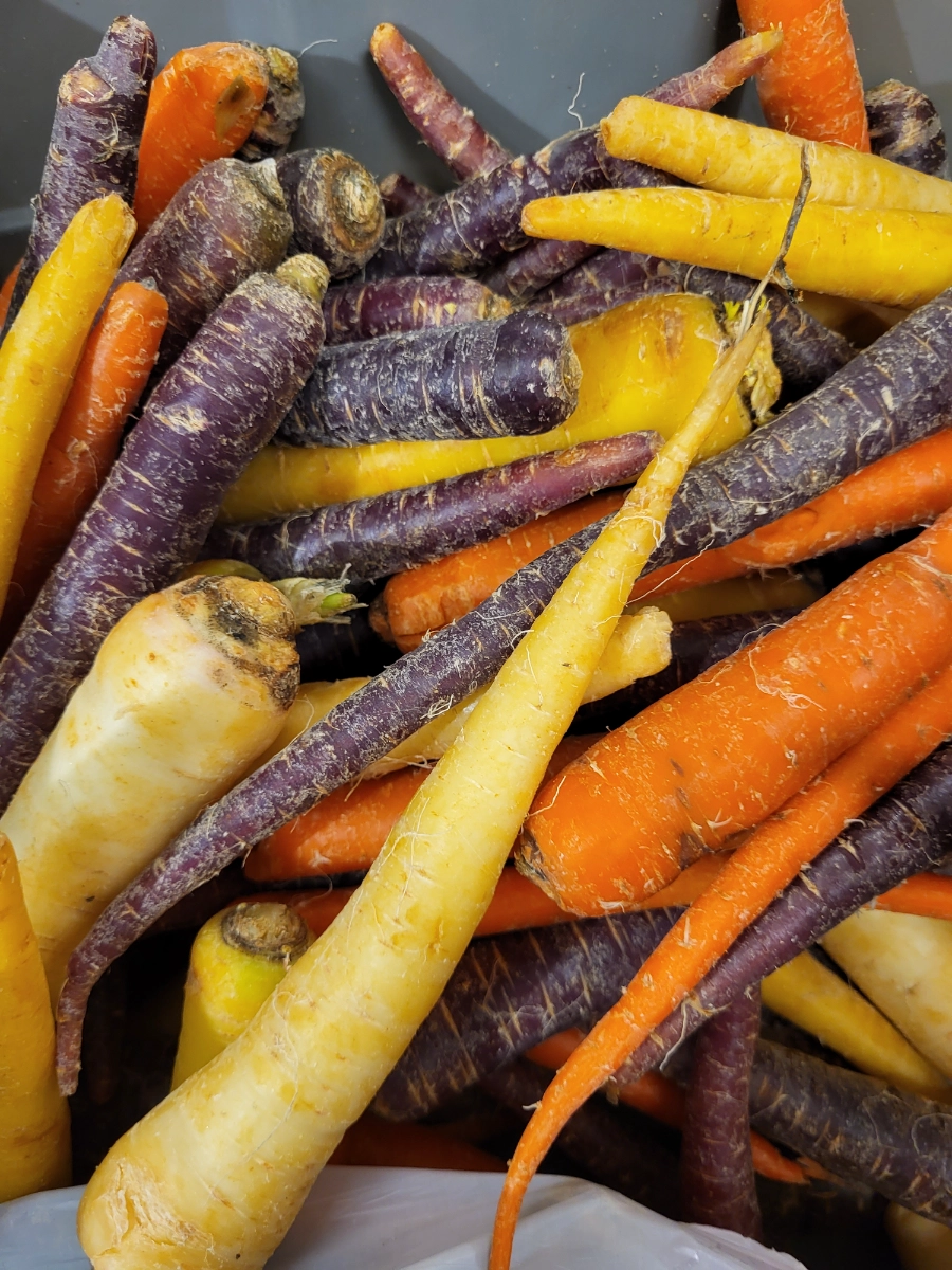 redwine-family-farms-mixed-carrots