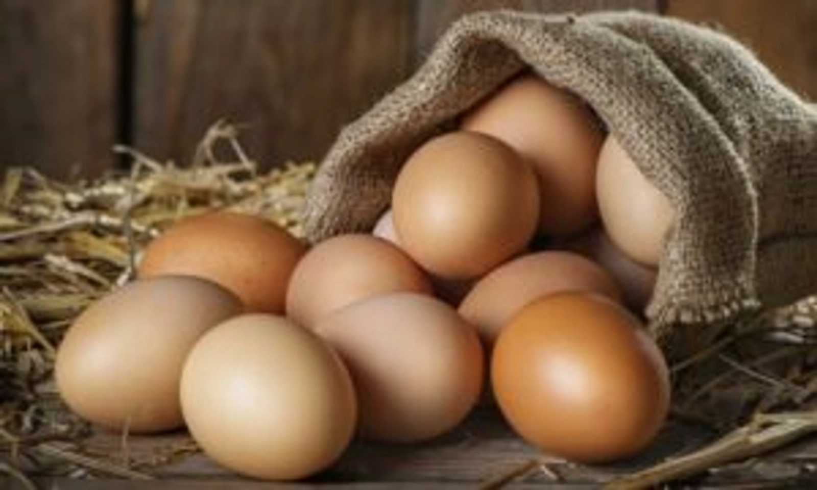 eggs-xlarge-jumbo