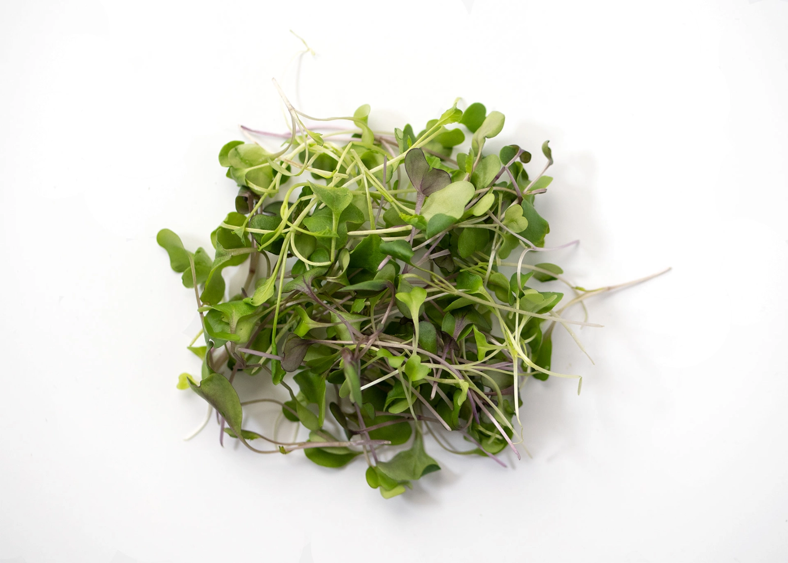 salad-mix-microgreens-one-24-oz-clear-container-tiny-greens-big-flavor