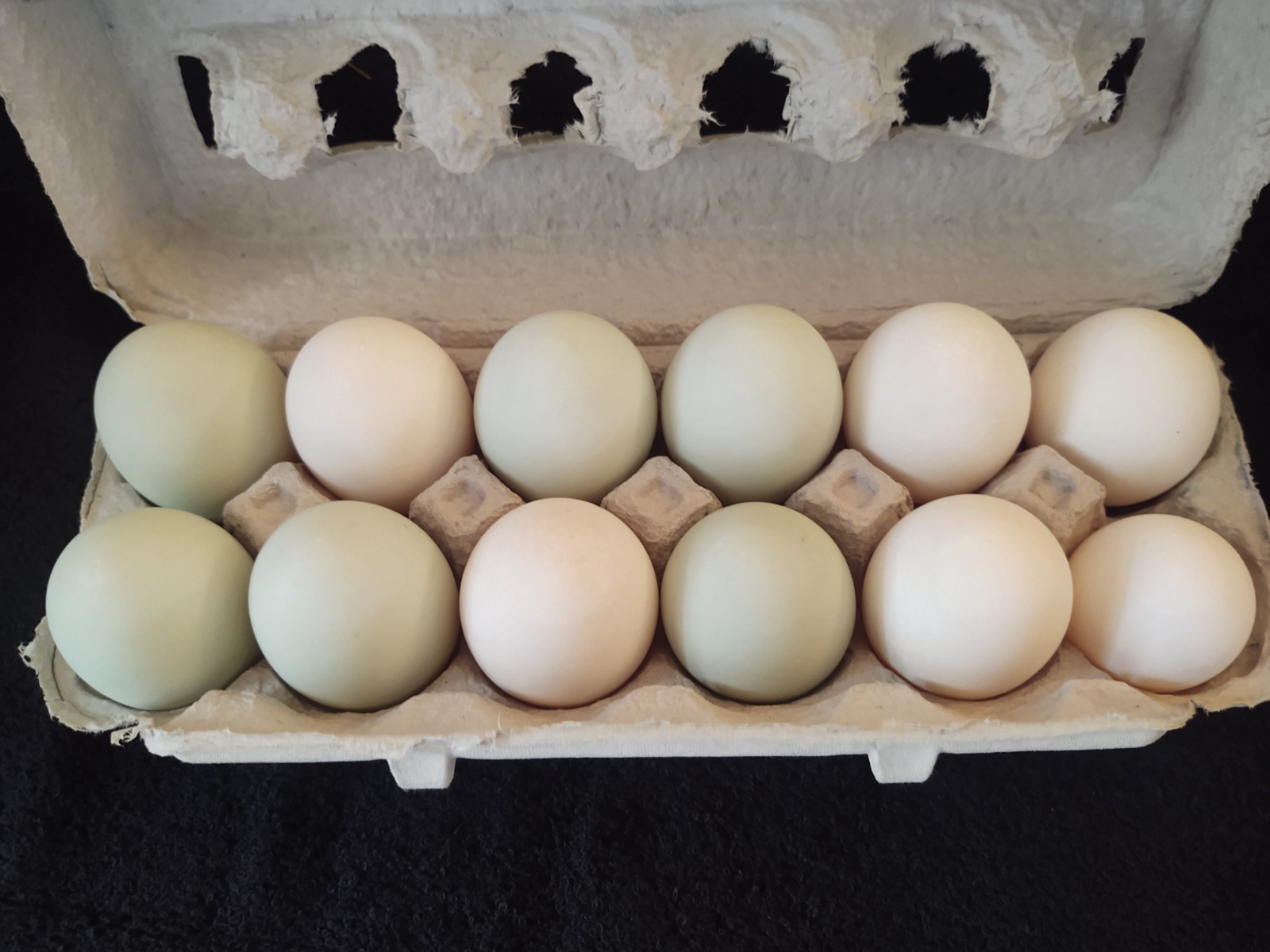 one-dozen-duck-eggs-4