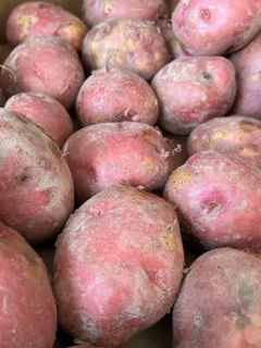 red-potatoes-medium-3-pounds