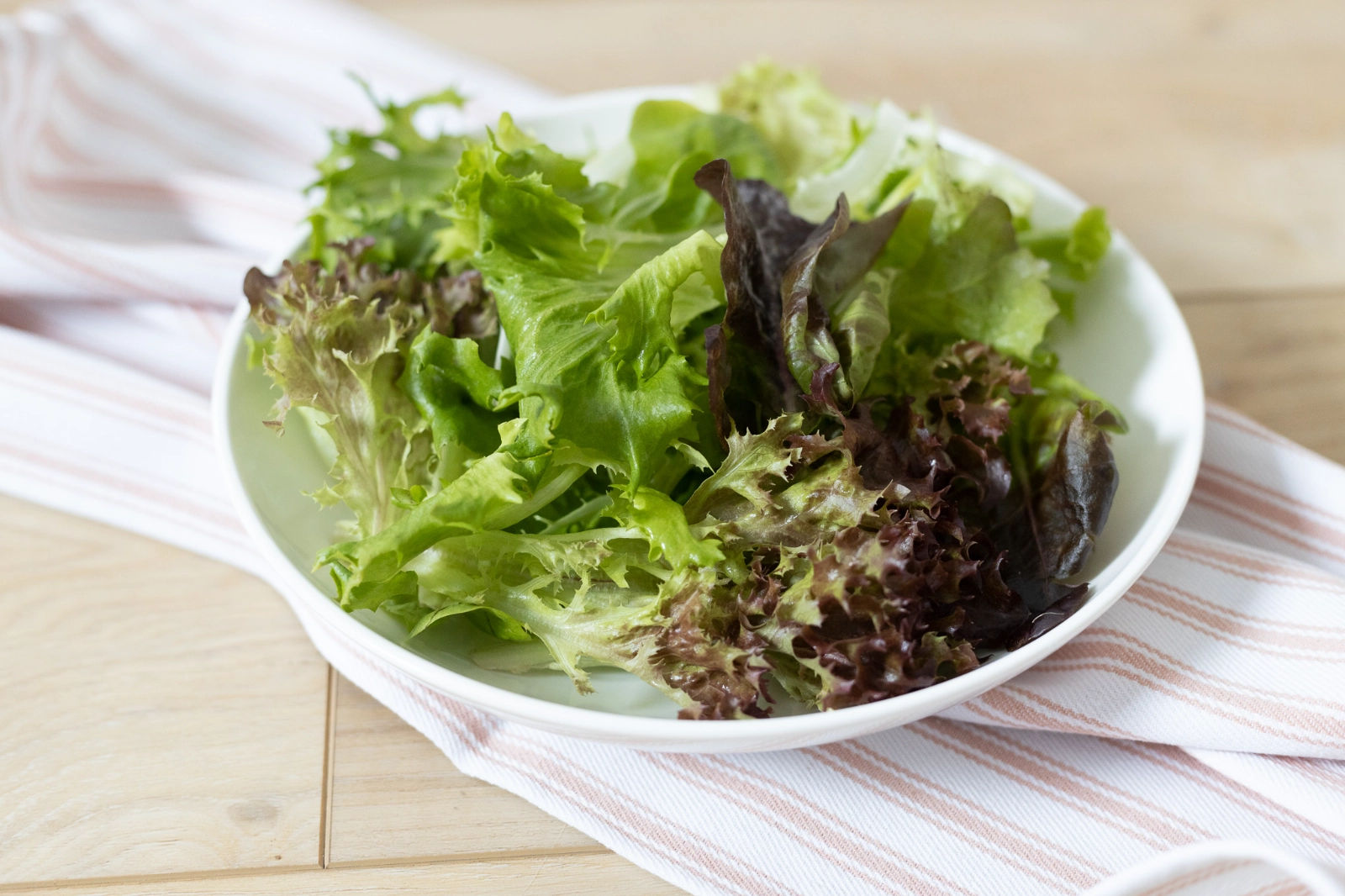 mix-salad-lettuce-6-oz