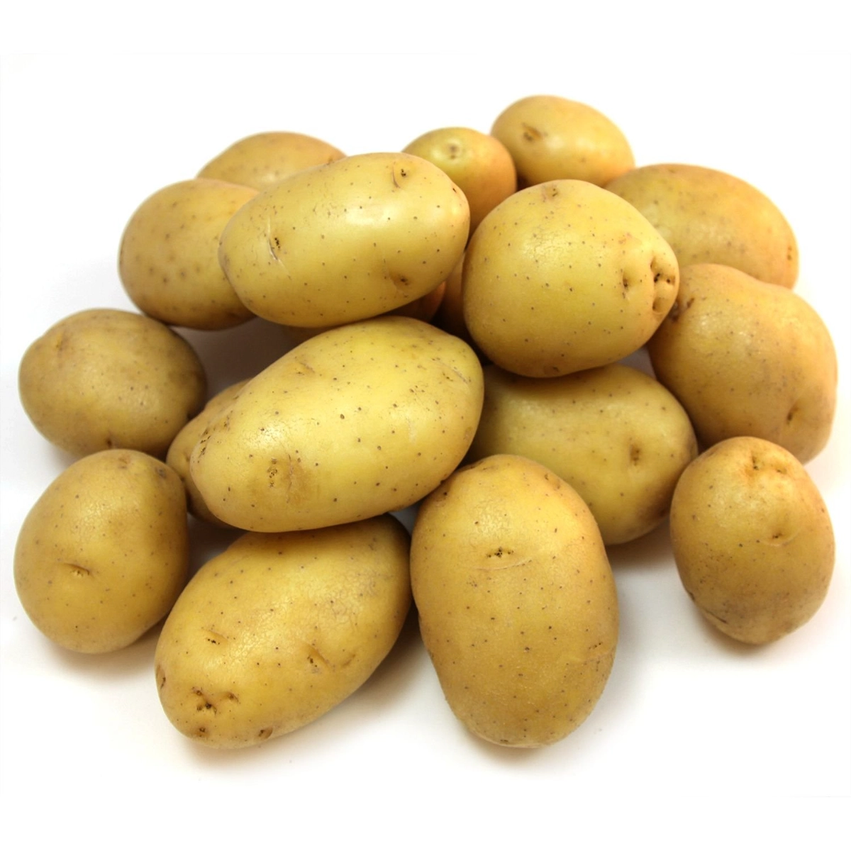 red-potato-15-pounds