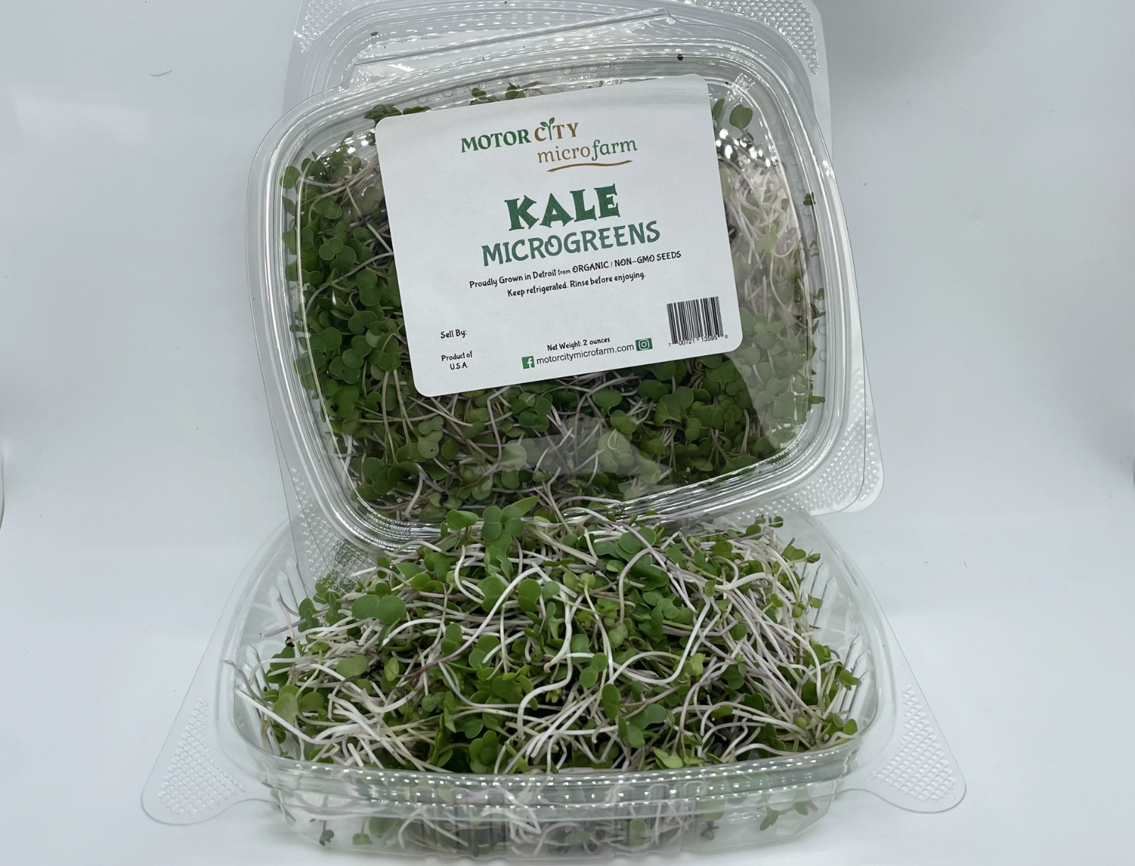 kale-red-russian--2-oz