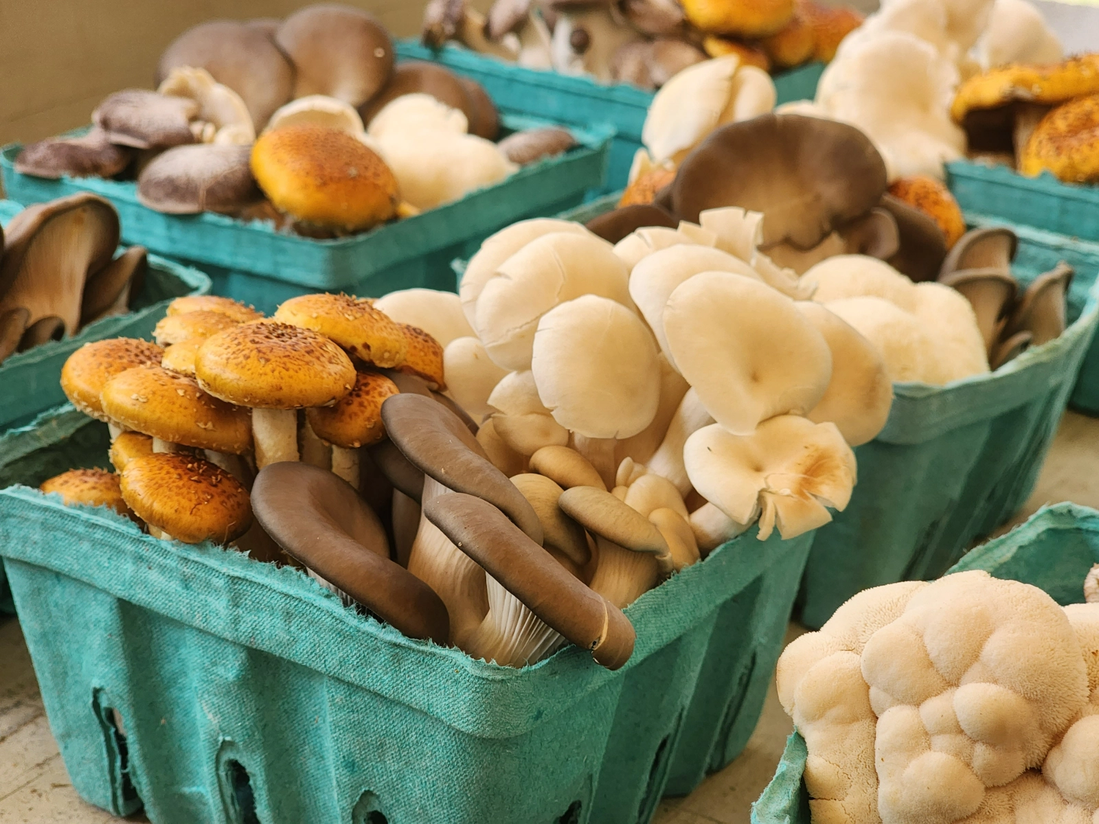 chefs-mixed-mushrooms-8-oz