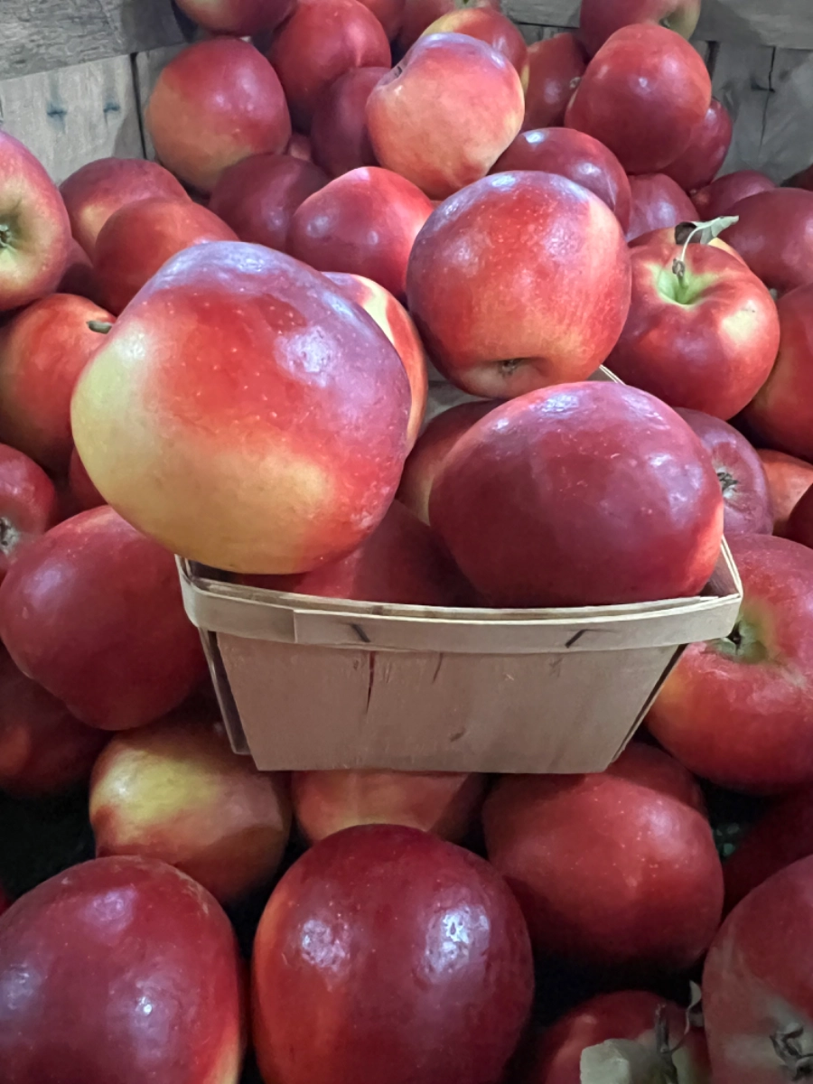 crimson-crisp-apples-quart-container-5-6-apples