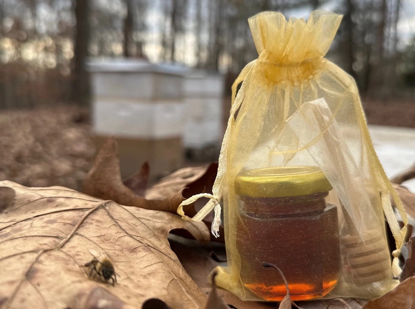 15-oz-raw-honey-with-dipper-in-a-decorative-bag