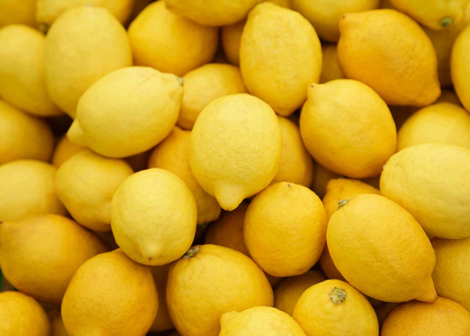 lemon-3-each-organic