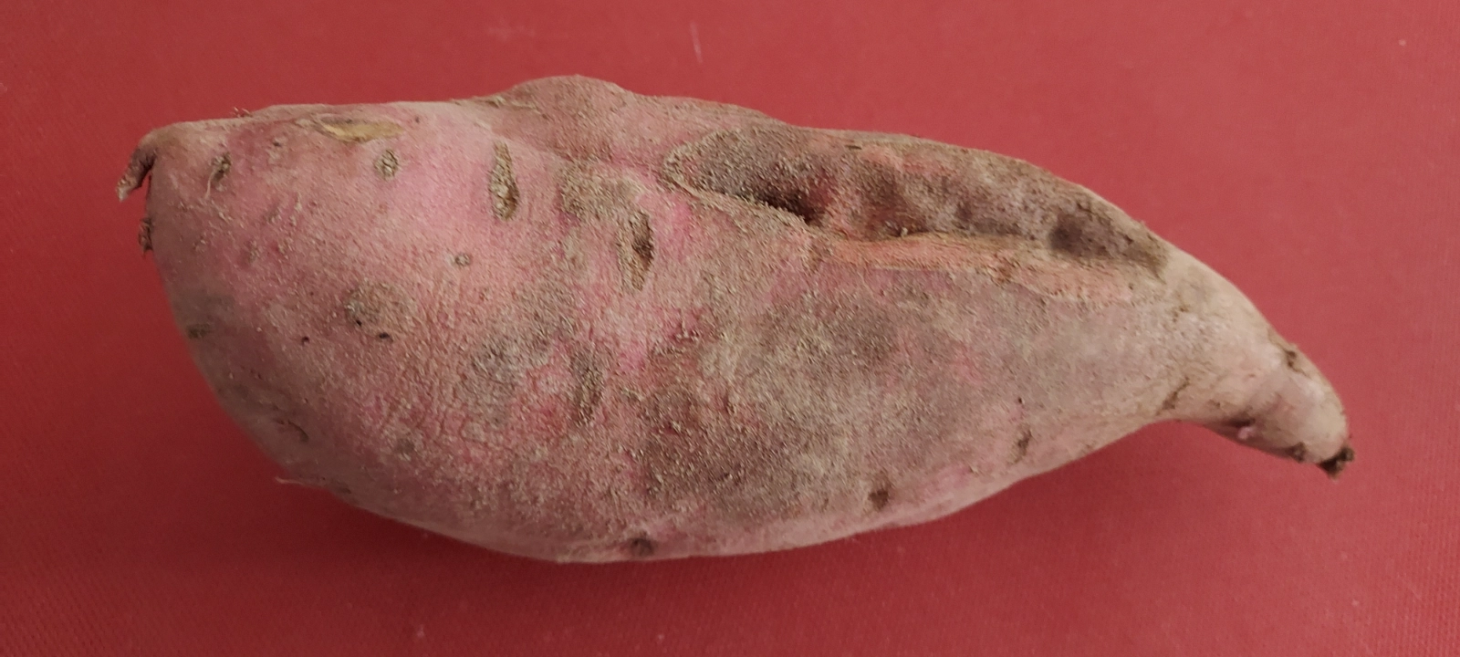 sweet-potato-ugly-reduced-price